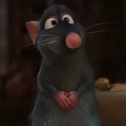 REMY