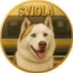 VIOLA