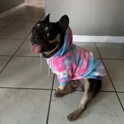 DUKE