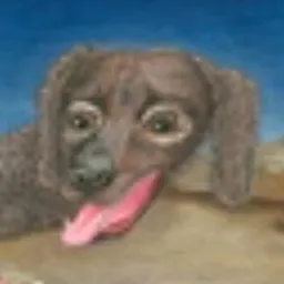 BIGDOG