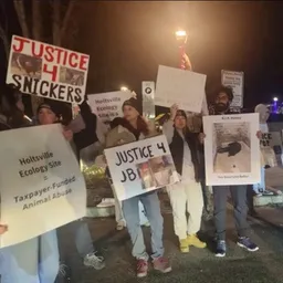 JHA