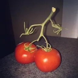 tomato