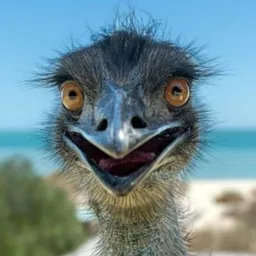 EMU