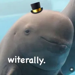 WIT