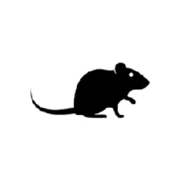 RAT