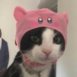 Tonje