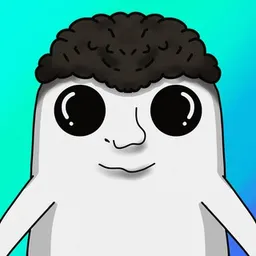 ZWOOMER