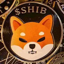 BSHIB