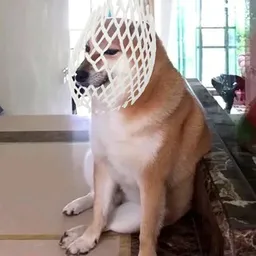wCHEEEMS