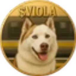 VIOLA