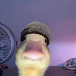 $QUACK