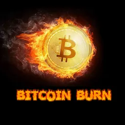 BITCOIN BURN 🔥