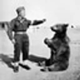 WOJTEK