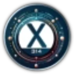 X314