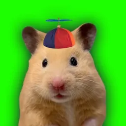 KUTTO