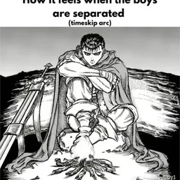 timeskip