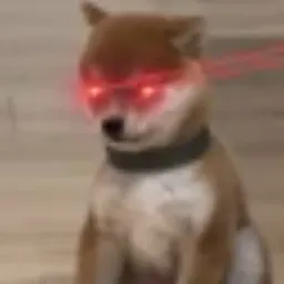 HAMU