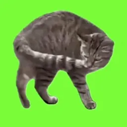 mc