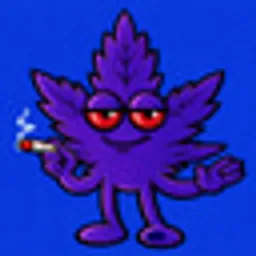 B3RNT