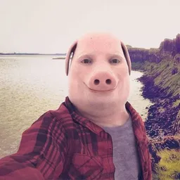 PORK