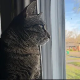 Sol