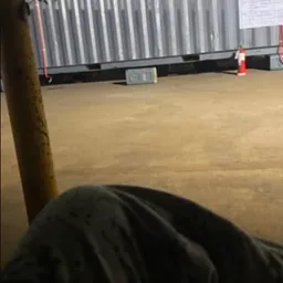 MSL