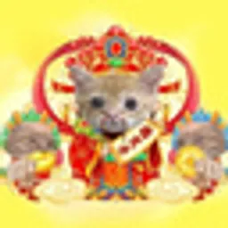 稳定币
