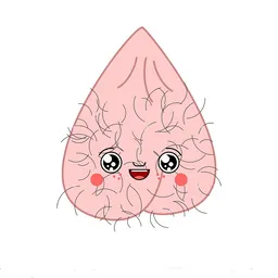 DNS