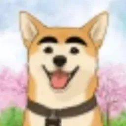 Pachi