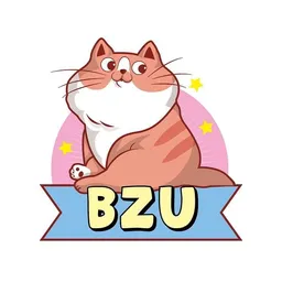BZU