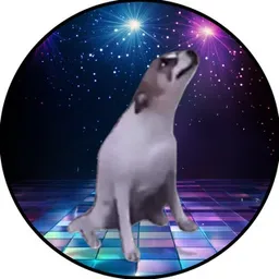 DDOG