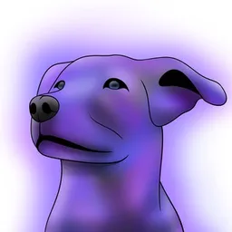 AuraDog