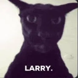 LARRY