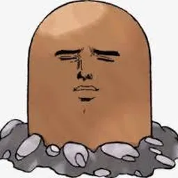 DIG