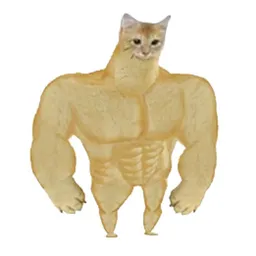 bigi