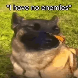 ENMS