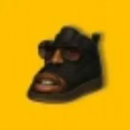 SHOE