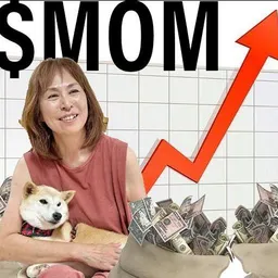 SOLmom