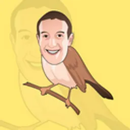 ZBIRD