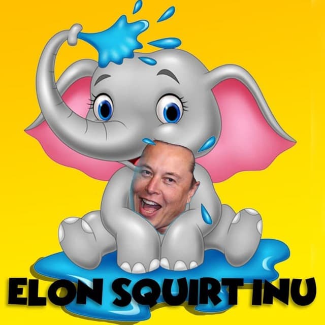 ElonSQI