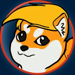 USDOGE