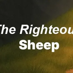 Sheep