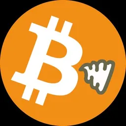 SHITCOIN