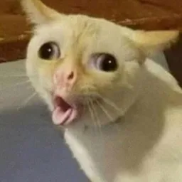 cuf