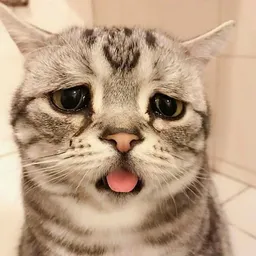 LUHU
