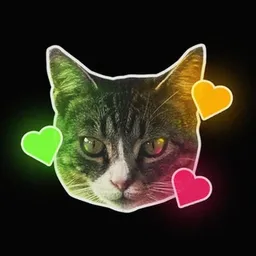 RAVECAT