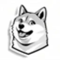 USD1DOGE