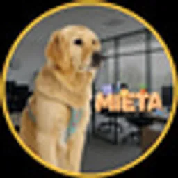 Mięta