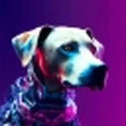 ECHO