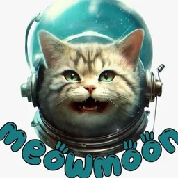 $MEOWMOON